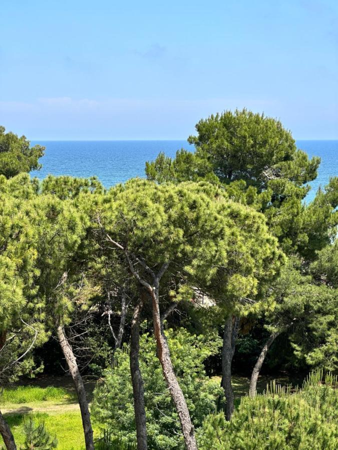 Lortica Apartamento Pescara
